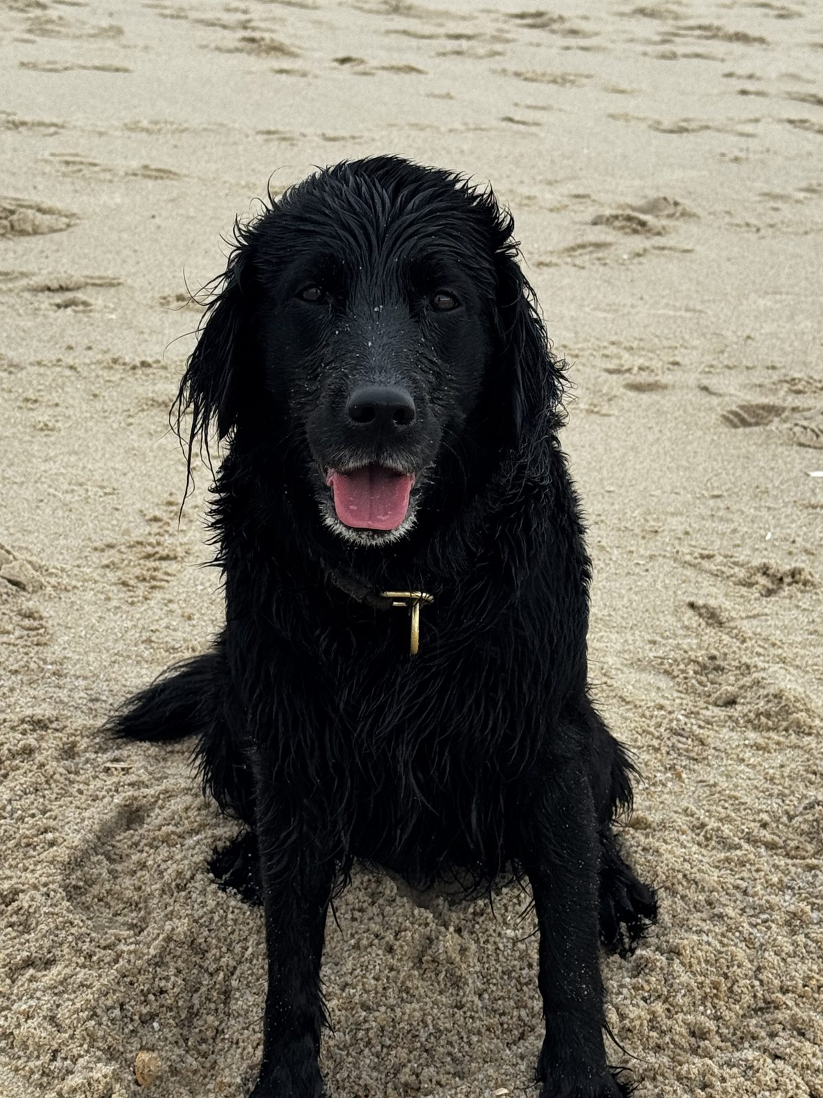 Lotte sitzt nass und glücklich am Strand von Sylt