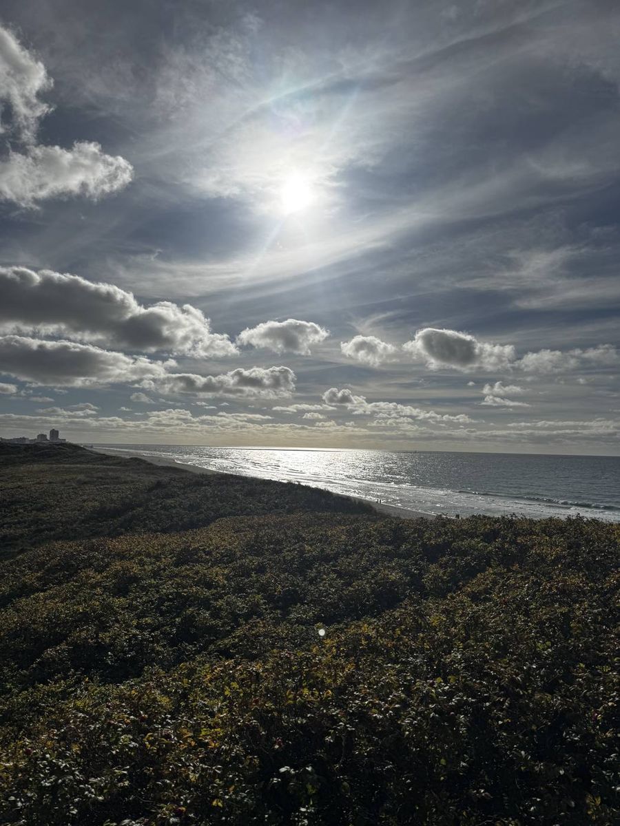 Blick von den Dünen auf Sylt aufs Meer